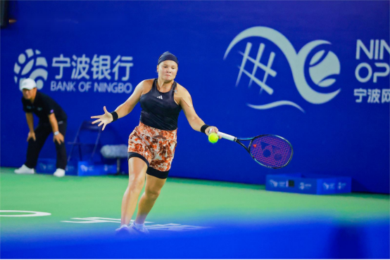 阿尔艾因的 阿尔艾因的